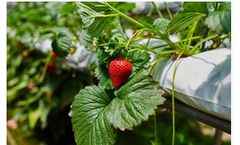 Water Quality Management Instruments for Hydroponics Industry