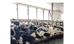 Huber Technik - 4GS Stall Mattress System for Dairy Cows