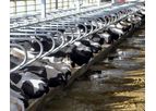 Agri-Comfort - Agri-Grid Sand Saver for Freestall Bedding