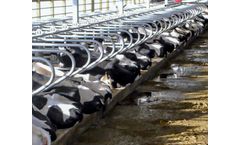 Agri-Comfort - Agri-Grid Sand Saver for Freestall Bedding