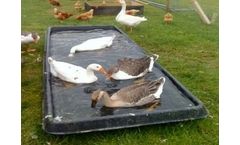 Paxton - Model FB3  - Water Tray - 541-Litre UV Stabilized MDPE for Livestock