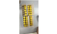 Shengzhikai - Model CAS 1415456-99-3 - Cagrilintide
