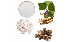 Shengzhikai - Model CAS 3681-99-0 98 - Free Sample Pueraria Lobata Extract Powder