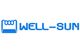 Xi'an Well-sun Electronic Technology PLC