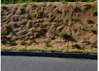 BIO-D™ - Erosion Control Coir Matting for Erosion Control