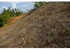 BIO-D - Jute Soil Saver Cloth for Mulch Retention & Soil Stabilization
