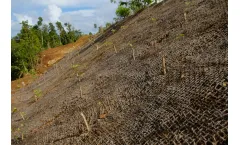 BIO-D - Jute Soil Saver Cloth for Mulch Retention & Soil Stabilization