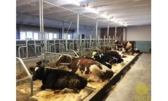 FECH - Stabling Equipment for 50-Cow Mini-Farm