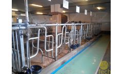 FECH - Model TUF-20 - Cow Tie Stall Equipment