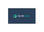 Olive Gaea - Customized Business Consulting with Bespoke Expertise