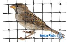 Yangfan - High-Density Polyethylene Knotted Bird Netting 19mm for Sparrow