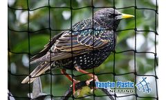 Yangfan - Knotted Netting 28mm for Starling