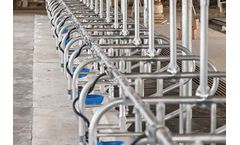 CK Manufacturing - Cattle Feeder Wagon