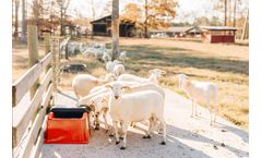 TUSKER - Model VS20LPE - Low Profile Electric Waterer