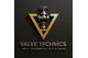 VALVE TECHNICS