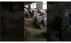 Experimental Use Wheat Thresher is used in experimental wheat threshing - Video