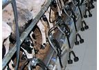 SYLCO HELLAS - Moving Cascading Stalls for Sheep and Goat Milking