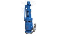 Wuyue - Model A48sY-C - High Temperature and High Pressure Spring Full Lift Safety Valve