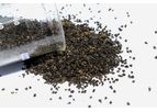 EcoFriend - Granular Wood Based Activated Carbon
