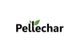 Pellechar, LLC