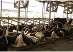 HerdCow - Cow Free Stalls