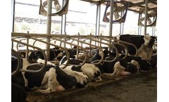 HerdCow - Cow Free Stalls