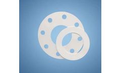 Goa-Polymer - PTFE Gasket