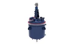 Standard Glass - Model AE - Glass-Lined Reactors