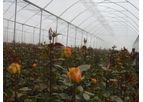 Mist & Cool System for Cooling, Humidification, and Dust Suppression