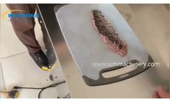 Automatic Fish Slicer Machine Fish Slicing Machine Do 2Mm Slices - Video