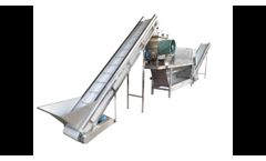 600kg Automatic Garlic Peeling production-Garlic Separator-Garlic peeler-Garlic Grading - Video