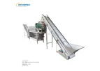 Wenming Machine - 600kg Automatic Garlic Peeling Machine Production Line