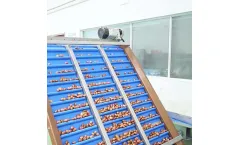 Jinguoyuan - Model LYZ01-0608A - High-Accuracy Palm Dates Sorting Machine