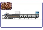 Jinguoyuan - Model 6 Channels Intelligent Chestnut Sorting Machine - Intelligent Chestnut Grading Machine