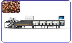 Jinguoyuan - Model 6 Channels Intelligent Chestnut Sorting Machine - Intelligent Chestnut Grading Machine