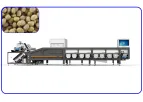 Jinguoyuan - Model 12 Channels Intelligent Chestnut Sorting Machine - Silver Sorting and Grading Machine for Chestnuts