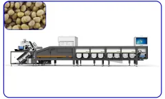 Jinguoyuan - Model 12 Channels Intelligent Chestnut Sorting Machine - Silver Sorting and Grading Machine for Chestnuts
