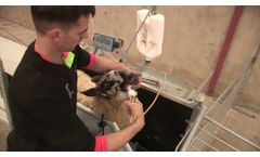 Shepherdsmate Handler Squeeze Clamp - Video