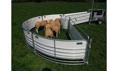 Shepherdsmate - Sheep Forcing Pen with Swing and Slide Gate