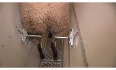 Shepherdsmate - Shepherdsmate Anti Backing Flaps
