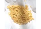 Insectius - Black Soldier Fly Eggs and Neonates for Insect Farming