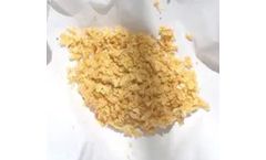 Insectius - Black Soldier Fly Eggs and Neonates for Insect Farming