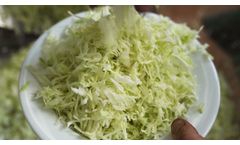 Shredding Machine Commercial Vegetable Processing Machines for Cabbage, Cabbage, Carrot, Onion - Video