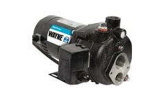 WAYNE - Model CWS100  - 1 HP Cast Iron Convertible Jet Well Pump