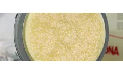 GPT - Ultrafiltration Membrane System for Water Treatment