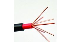 Xinhengtong - Model XLPE - PVC Low Voltage Power Cable