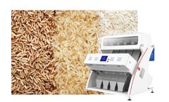 Skysorter - High-Performance Rice Color Sorting Machine