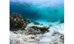 EOMAP - Benthic Cover and Habitat Mapping Services