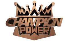 Champion Power - Model 6FM33 12V33Ah - Medium AGM Battery - Brochure