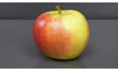 AI-Based Mobile Sensor Technology for Food